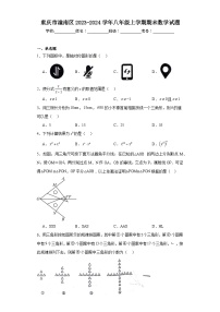 重庆市潼南区2023-2024学年八年级上学期期末数学试题(含答案)