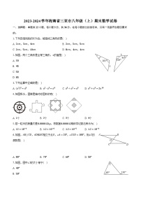 2023-2024学年海南省三亚市八年级（上）期末数学试卷（含解析）