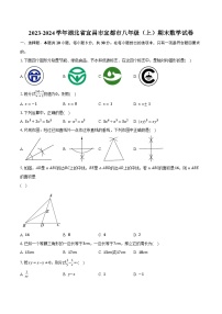 2023-2024学年湖北省宜昌市宜都市八年级（上）期末数学试卷（含解析）