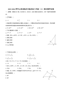 2023-2024学年山东省临沂市临沭县八年级（上）期末数学试卷（含解析）