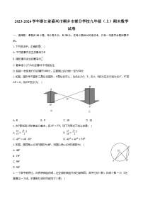 2023-2024学年浙江省嘉兴市桐乡市部分学校九年级（上）期末数学试卷（含解析）