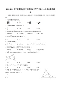 2023-2024学年湖南师大附中博才实验中学八年级（上）期末数学试卷（含解析）