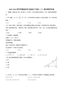 2023-2024学年河南省焦作市温县八年级（上）期末数学试卷（含解析）