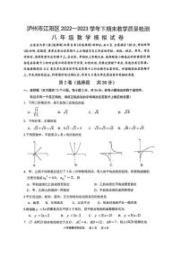 四川省泸州市江阳区2022-2023学年八年级下学期期末数学模拟试题