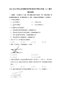 山东省德州市齐河县部分学校2023-2024学年七年级上学期期末数学试卷