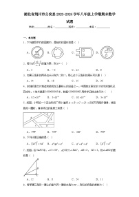 湖北省荆州市公安县2023-2024学年八年级上学期期末数学试题(含答案)