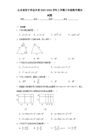 山东省济宁市金乡县2023-2024学年上学期八年级数学期末试题(含答案)