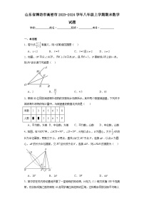 山东省潍坊市高密市2023-2024学年八年级上学期期末数学试题(含答案)