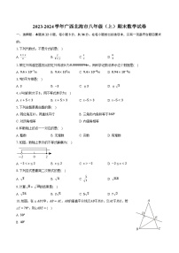 2023-2024学年广西北海市八年级（上）期末数学试卷（含解析）