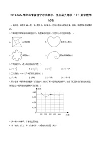 2023-2024学年山东省济宁市曲阜市、鱼台县九年级（上）期末数学试卷（含解析）