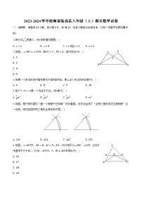 2023-2024学年海南省临高县八年级（上）期末数学试卷（含解析）