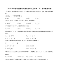 2023-2024学年安徽省合肥市肥东县九年级（上）期末数学试卷（含解析）