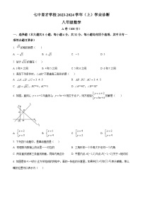 2023-2024学年四川省成都市锦江区成都七中育才学校八年级上学期期末数学试题