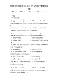 安徽省安庆市望江县2023-2024学年七年级上学期期末数学试题(含答案)