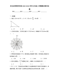 河北省邯郸市邱县2023-2024学年九年级上学期期末数学试题(含答案)