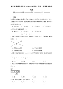 湖北省孝感市孝昌县2023-2024学年七年级上学期期末数学试题(含答案)