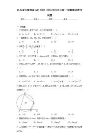 江苏省无锡市惠山区2023-2024学年九年级上学期期末数学试题(含答案)