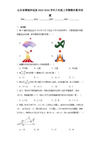 山东省聊城市冠县2023-2024学年八年级上学期期末数学试题(含答案)