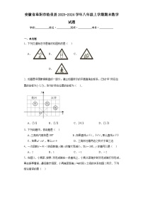 安徽省阜阳市临泉县2023-2024学年八年级上学期期末数学试题(含答案)