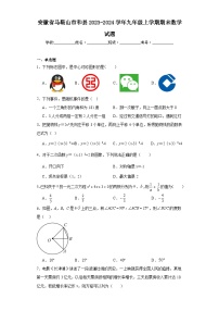 安徽省马鞍山市和县2023-2024学年九年级上学期期末数学试题(含答案)