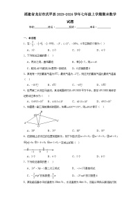 福建省龙岩市武平县2023-2024学年七年级上学期期末数学试题(含答案)