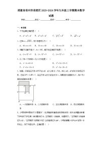 福建省泉州市泉港区2023-2024学年九年级上学期期末数学试题(含答案)