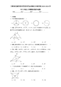 甘肃省武威市凉州区凉州区金羊镇九年制学校2023-2024学年八年级上学期期末数学试题(含答案)