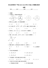 河北省邯郸市广平县2023-2024学年八年级上学期期末数学试题(含答案)