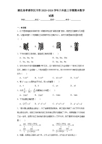 湖北省孝感市汉川市2023-2024学年八年级上学期期末数学试题(含答案)