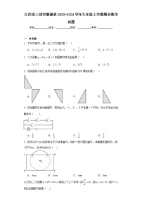 江西省上饶市婺源县2023-2024学年九年级上学期期末数学试题(含答案)