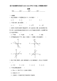 四川省成都市武侯区2023-2024学年八年级上学期期末数学试题(含答案)
