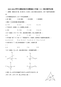 2023-2024学年安徽省亳州市蒙城县八年级（上）期末数学试卷(含解析）