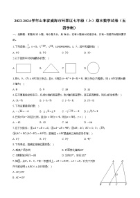 2023-2024学年山东省威海市环翠区七年级（上）期末数学试卷（五四学制）(含解析）