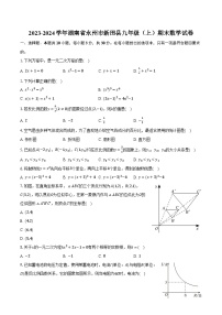 2023-2024学年湖南省永州市新田县九年级（上）期末数学试卷(含解析）