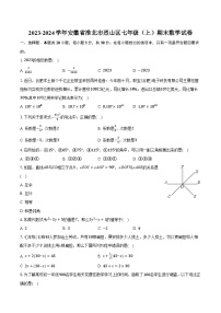 2023-2024学年安徽省淮北市烈山区七年级（上）期末数学试卷(含解析）