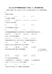 2023-2024学年湖南省娄底市八年级（上）期末数学试卷(含解析）