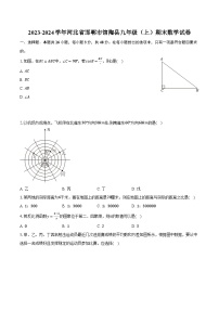 2023-2024学年河北省邯郸市馆陶县九年级（上）期末数学试卷(含解析）