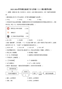 2023-2024学年湖北省咸宁市七年级（上）期末数学试卷(含解析）