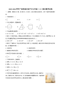 2023-2024学年广西贵港市桂平市七年级（上）期末数学试卷(含解析）