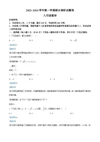 河南省平顶山市2023-2024学年八年级上学期期末数学试题
