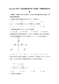 2023-2024学年广东省河源市连平县八年级（上）期末数学试卷(含解析)