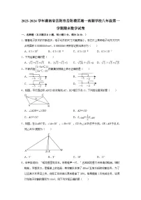 2023-2024学年湖南省岳阳市岳阳楼区湘一南湖学校八年级（上）期末数学试卷(含解析)
