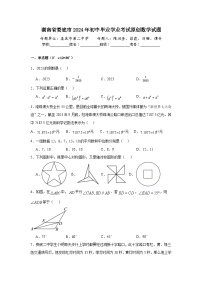 2024年湖南省娄底市中考数学模拟试题