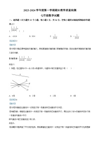 河北省石家庄市栾城区2023-2024学年七年级上学期期末数学试题