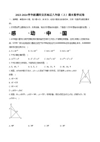 新疆阿克苏地区2023-2024学年八年级上学期期末考试数学试题