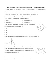 2023-2024学年江西省上饶市玉山县九年级（上）期末数学试卷(含解析）