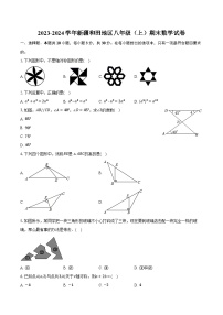 2023-2024学年新疆和田地区八年级（上）期末数学试卷(含解析）