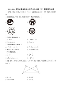 2023-2024学年安徽省芜湖市无为市八年级（上）期末数学试卷-普通用卷