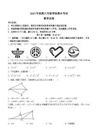 四川省德阳市旌阳区2023-2024学年八年级上学期期末考试数学试题(无答案)