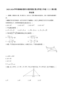 2023-2024学年湖南省岳阳市岳阳楼区重点学校八年级（上）期末数学试卷（含解析）